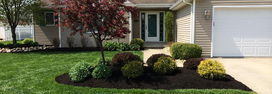 Landscape Maintenance & Lawn Care